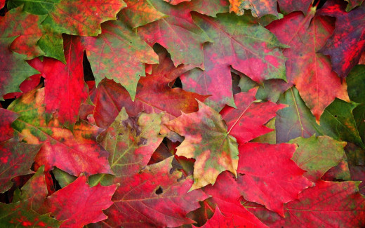 1171754 (a): :1920x1200